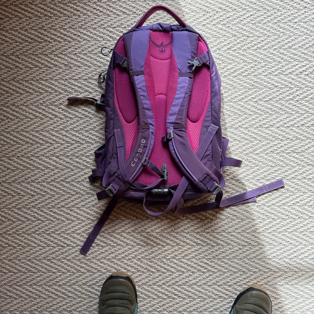 Osprey Purple Laptop Backpack - Picture 2 of 7
